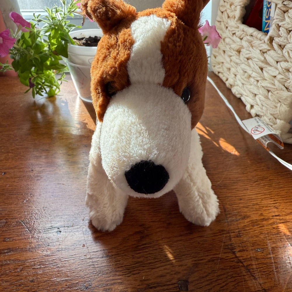 Jellycat Dog Stuffie